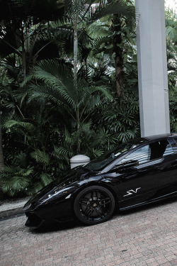 ibrahim-87:  carbonandfiber:  Lamborghini Murciélago  ₈₇