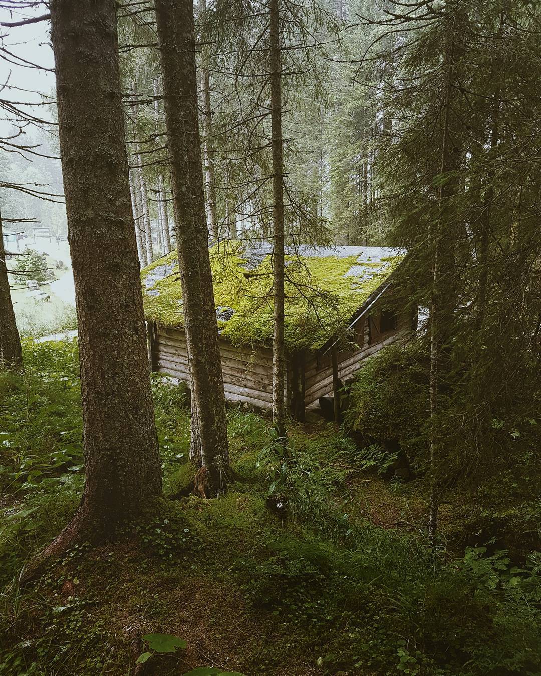 quiet-nymph:   Photography by Matej Lupták  