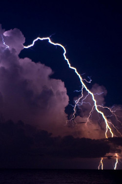 tulipnight:  quite the en-lightning evening by duane.schoon on Flickr.