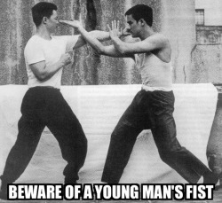 rootsofcombat2:  Beware of a young mans fist and an old mans pole-Hung Gar saying