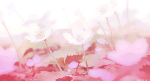 fawning