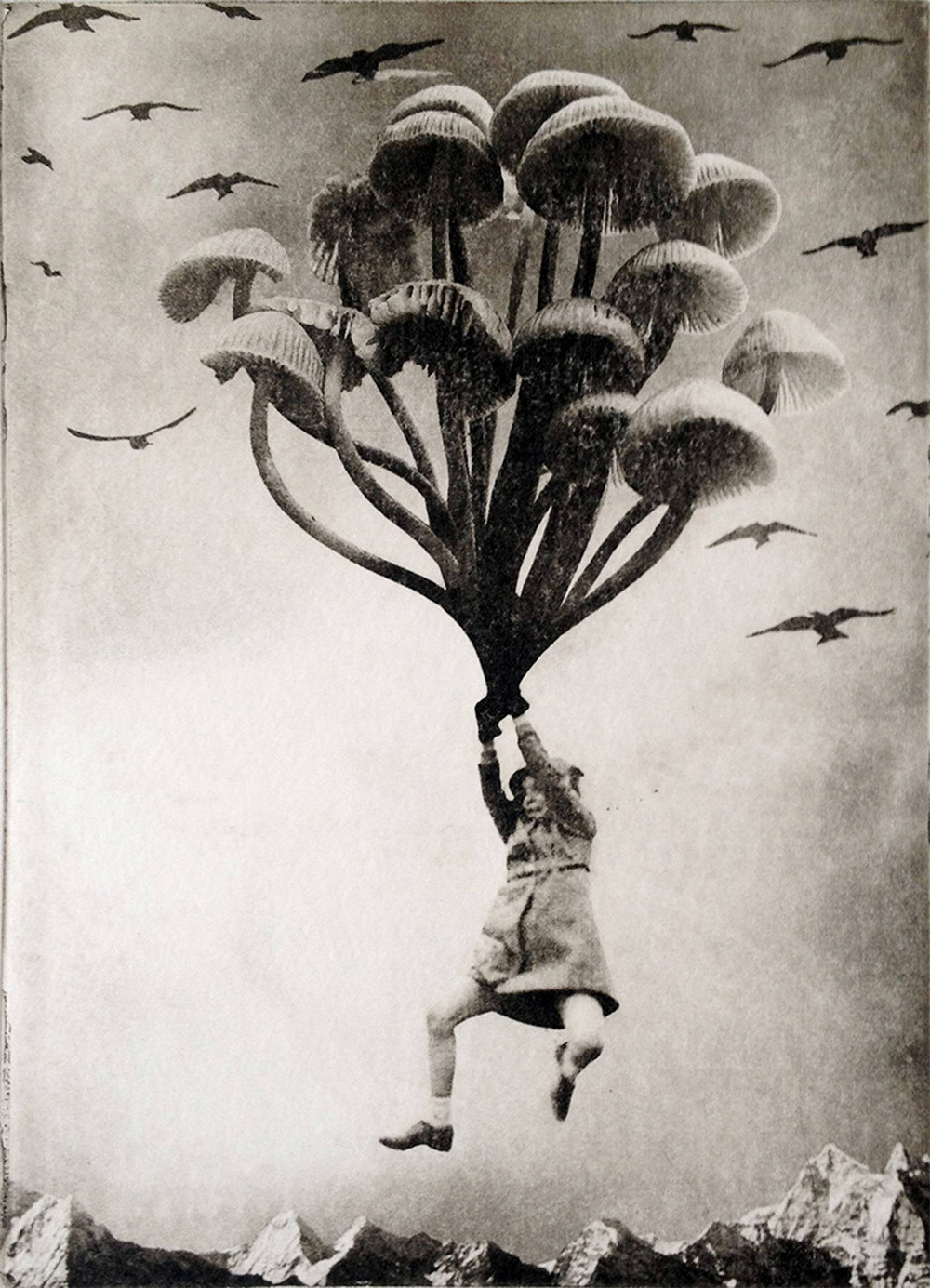 itscolossal:  Dually Sinister and Playful Solarplate Etchings by Jaco Putker