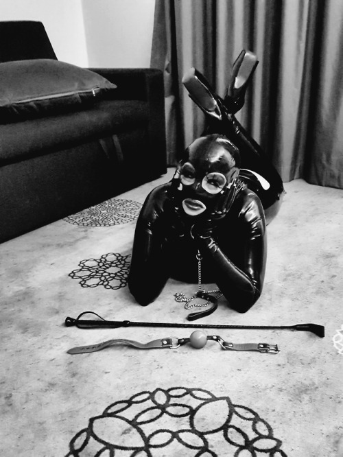 Latex enclosure 69