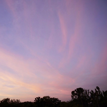lavendervalar:    reality is a lovely place but I wouldn’t want to live therephotos by🌙  