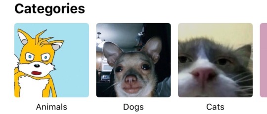 beetledrink:  apple automatically puts your shit in folders of its own choosing now i guess 