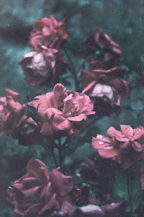 http://cway23.tumblr.com/post/102679022149