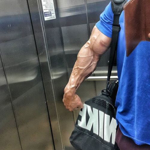 jhfic1:“What else am I gonna do in an elevator?”