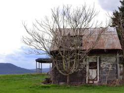 abandonedandurbex: The trees are taking over this cabin in Appalachia. [1334x1000]