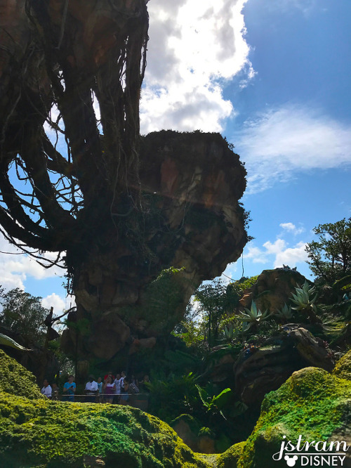 Pandora – The World of Avatar