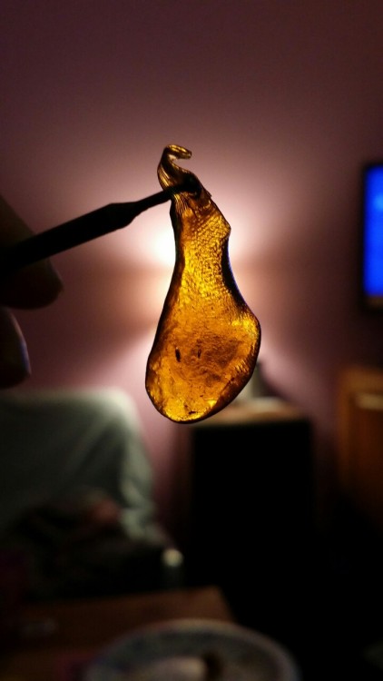 Porn Pics dabbin-fairy:  beauty-nirvana:  dabbin-fairy: