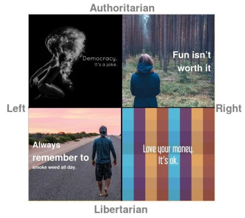 regicide1997: mailorderfictionalcharacter: lysenkoite:I made a political compass using @best-of-insp