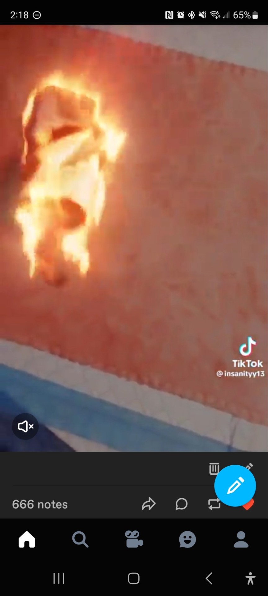 Tumblr media