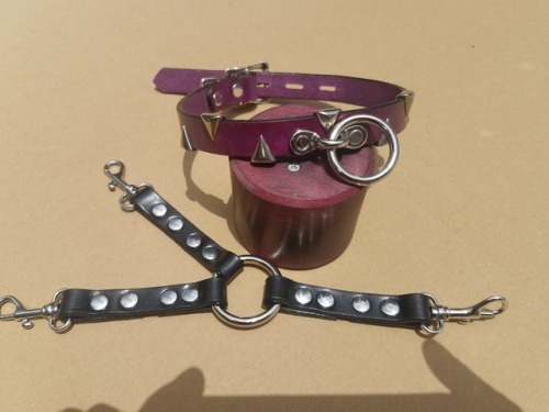 dominionleathershop:A customers order is complete.  A collar with teeth in Deep Violet with a 3 point tether with spring clips!