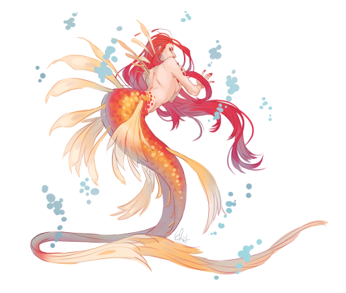 lotsa old mermaids for mermay!!