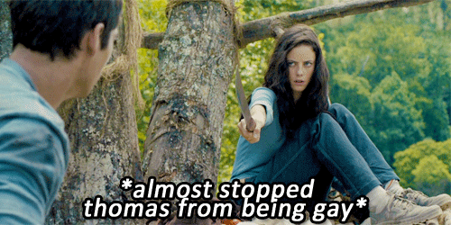 kitkatminho:  The Maze Runner » A Summary