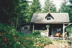 Petrovits:  Phoebe-Bird:  A Cabin We Stayed In On Hornby Island, Bc. 1994.   Egyszer