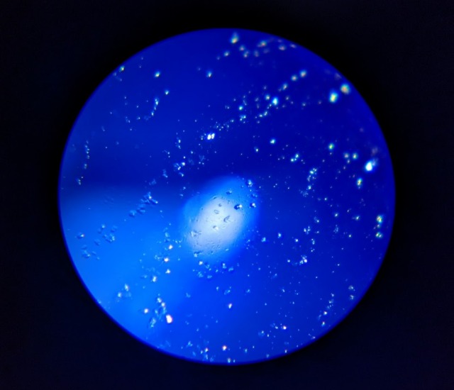 Microscope photo: game controller button