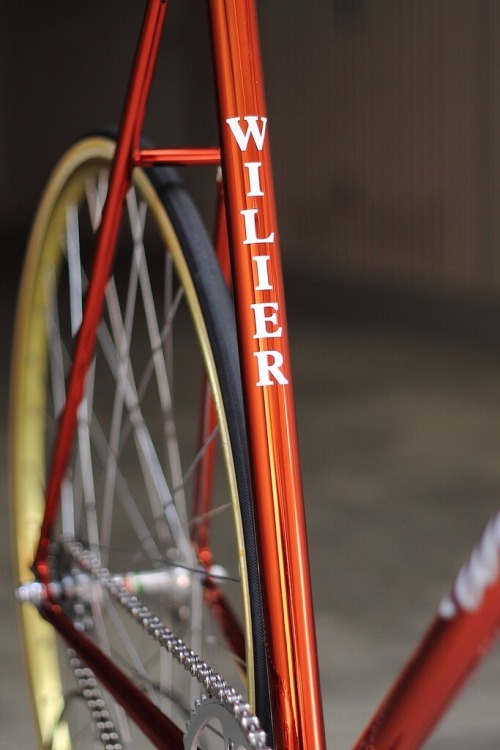 bikeplanet: Wilier Triestina Ramata Pistaby TheBikePlace