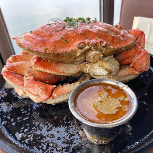 Whole Dungeness crab in secret garlic sauce. Sausalito CA @salitoscrabhouse ••• Omg, this crab wa