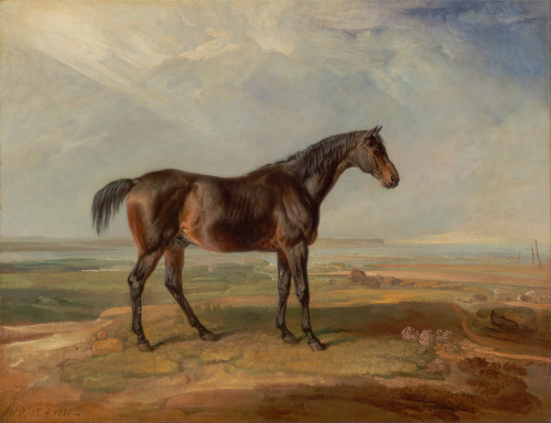 Dr. Syntax, a Bay Racehorse, Standing in a Coastal Landscape, an Estuary Beyond, James Ward, 1820