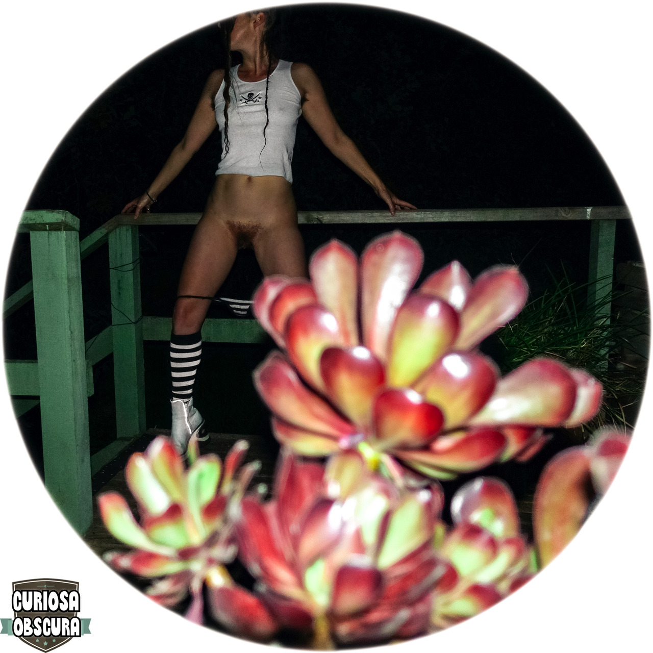 curiosa-obscura:  things to do on an unexpectedly warm nightfollow us for more homemade