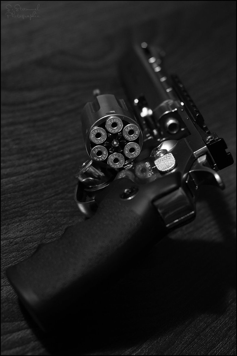 Mildly Offensive Gun Owner