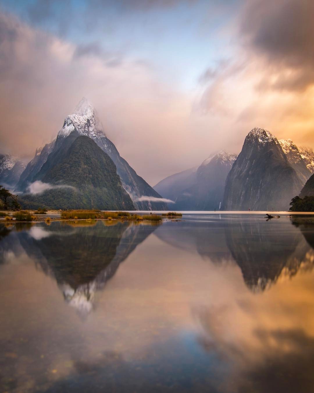 freshbrewedlife: Brent | @brentpurcell.nz