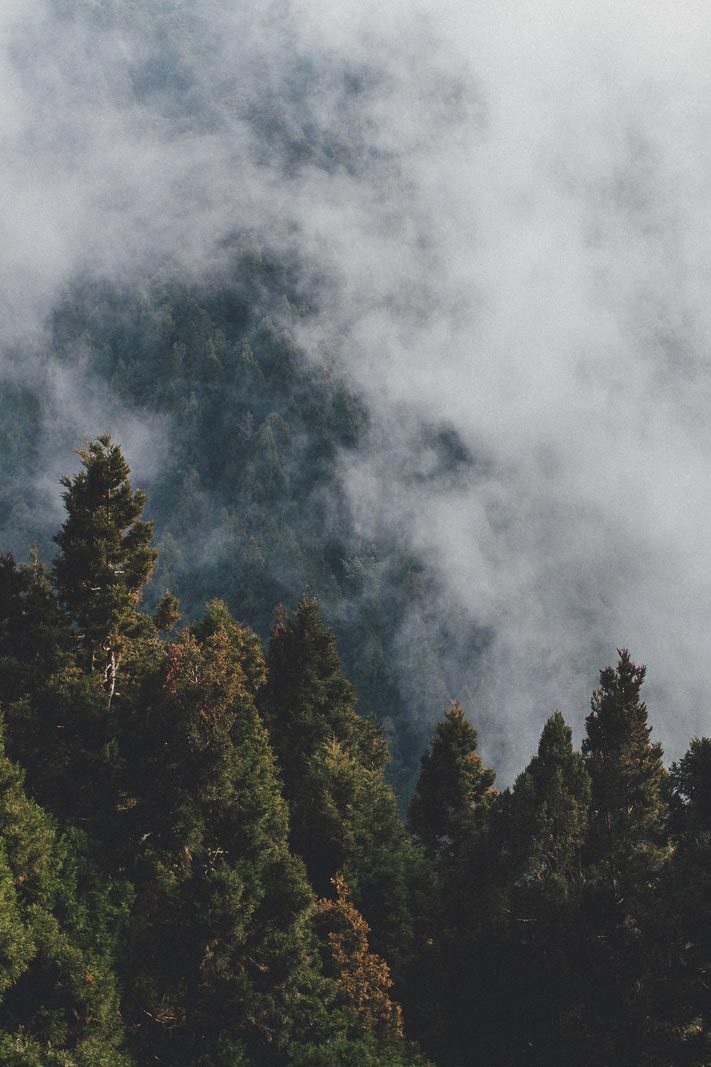 Embrace the Outdoors | © | AOI