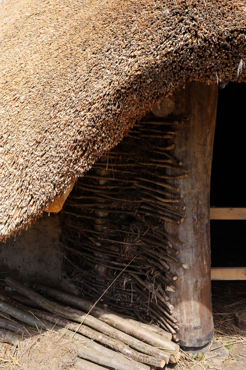 Castell Henllys Iron Age Settlement, Pembrokeshire, South Wales, 5.5.18.Reconstructed roundhouse com