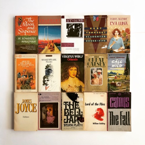 macrolit:  Giveaway Contest: We’re giving away fifteen vintage paperback classics by Virginia Woolf, James Baldwin, Sylvia Plath, Ray Bradbury, F. Scott Fitzgerald, and others! Won’t this collection look lovely on your shelf? :DTo win these classics,