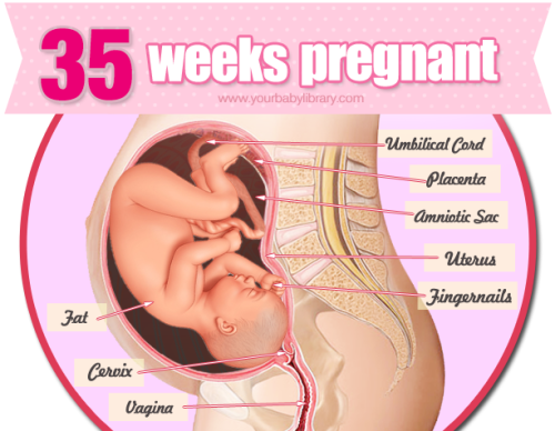 You’re now 35 weeks pregnant and there’s only a month left before your pregnancy will be