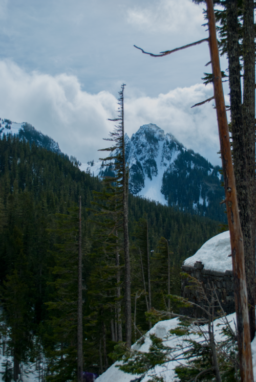 Mt. Rainier, WA