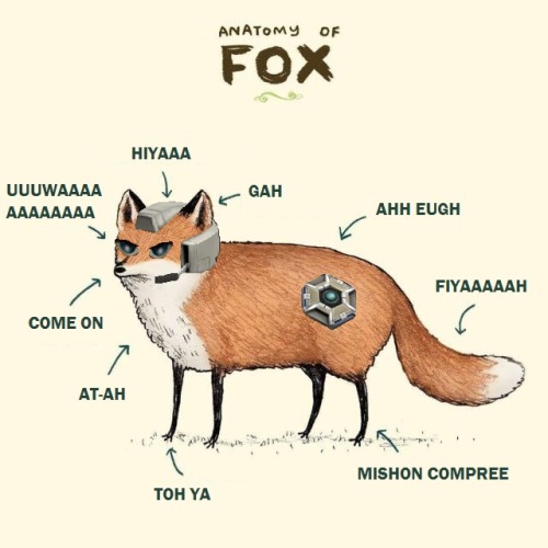 figglypuff:The anatomy on Fox (McCloud)