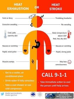 delicatefury: waywardgohan:  nudityandnerdery: Hey, we’re in line for some absurd temperatures here in the southwest this week. This is very important to know and keep in mind. Be safe, stay hydrated, stay out of the sun as much as you can.  i threw