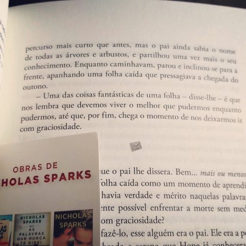 Se é para ser lamechas que seja nicholas sparks. É um belo romance sem dúvida #