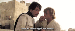 itswalky: sailor-arashi:  ooksaidthelibrarian:  thehappyfangirl:  oldmanyellsatcloud:  ohgodhesloose:  leupagus:  brendanadkins:  leiaorggana:  Deleted Tosche Station scene from A New Hope  uh  OK I have like mutliple questions a) who dis 2) why does