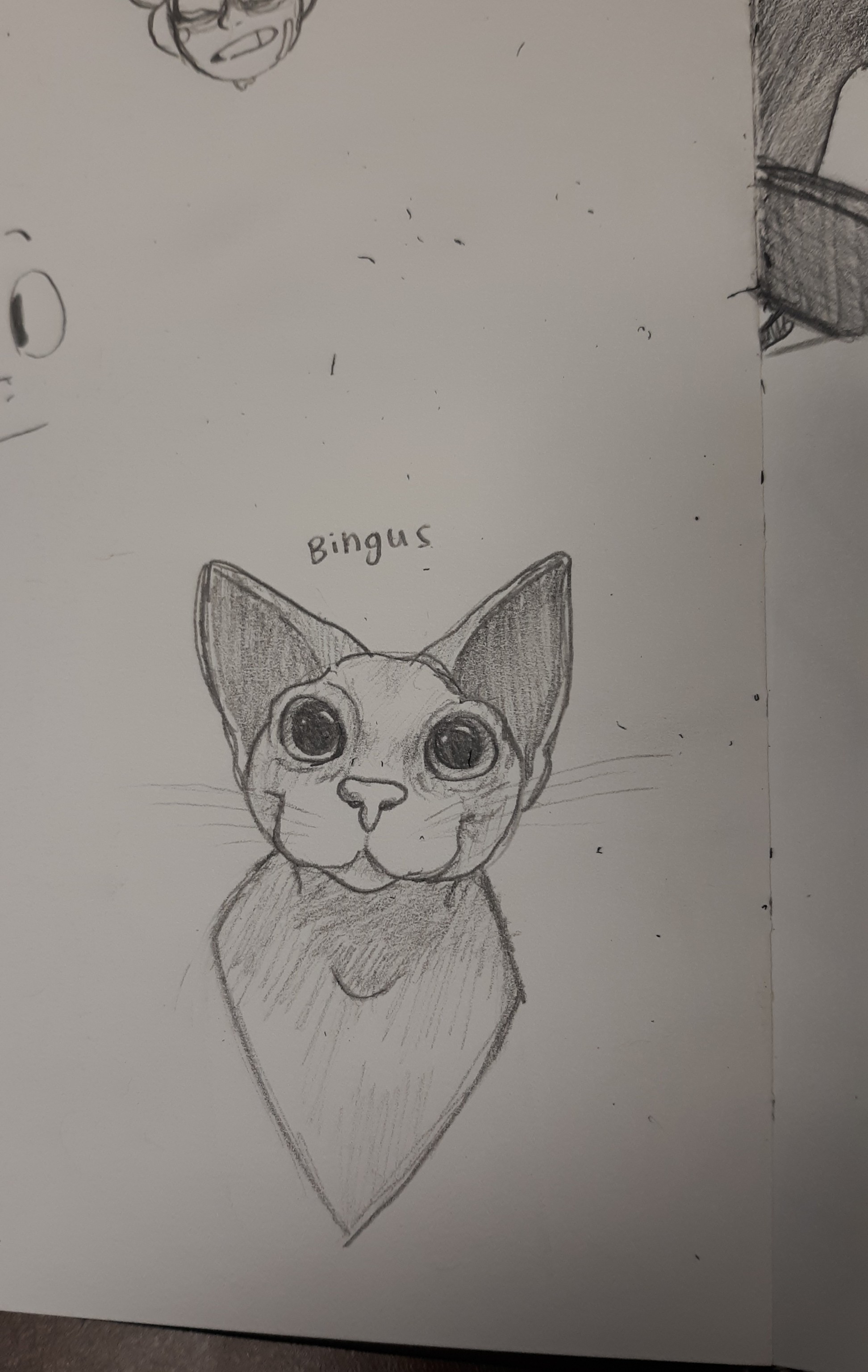 just-frog-thoughts:cadaverkeys:dumthicc:lnfini:He’s got a present for u !!