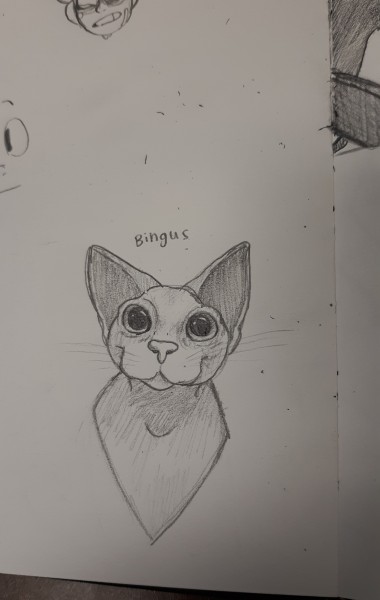 just-frog-thoughts:cadaverkeys:dumthicc:lnfini:He’s got a present for u !!