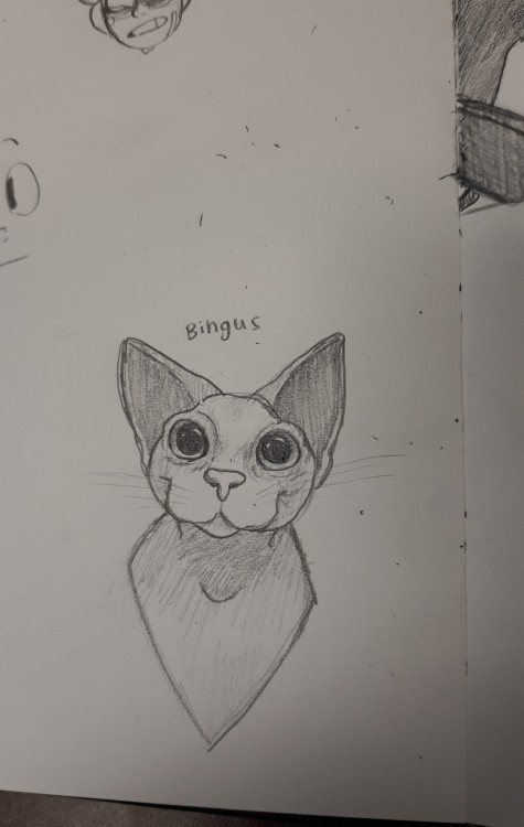 just-frog-thoughts:cadaverkeys:dumthicc:lnfini:He’s got a present for u !!