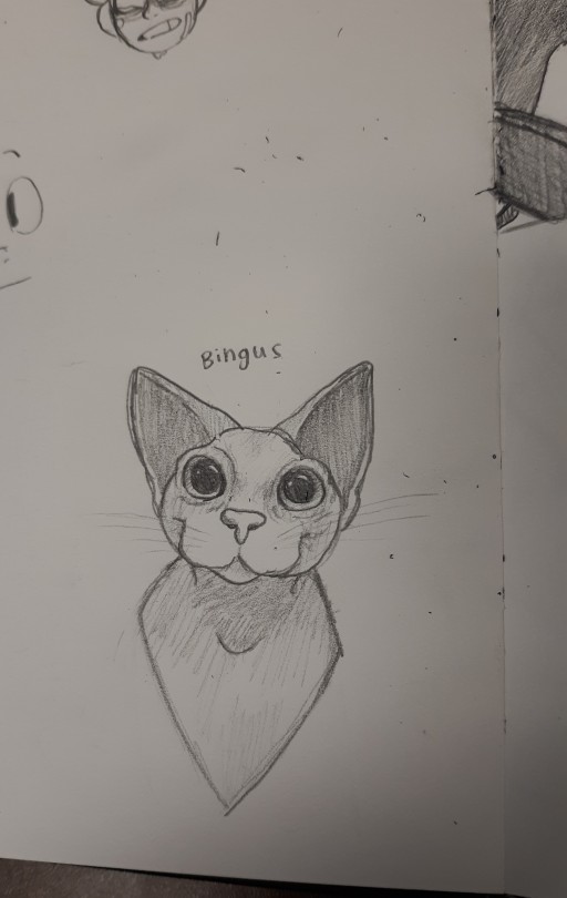 just-frog-thoughts:cadaverkeys:dumthicc:lnfini:He’s got a present for u !!