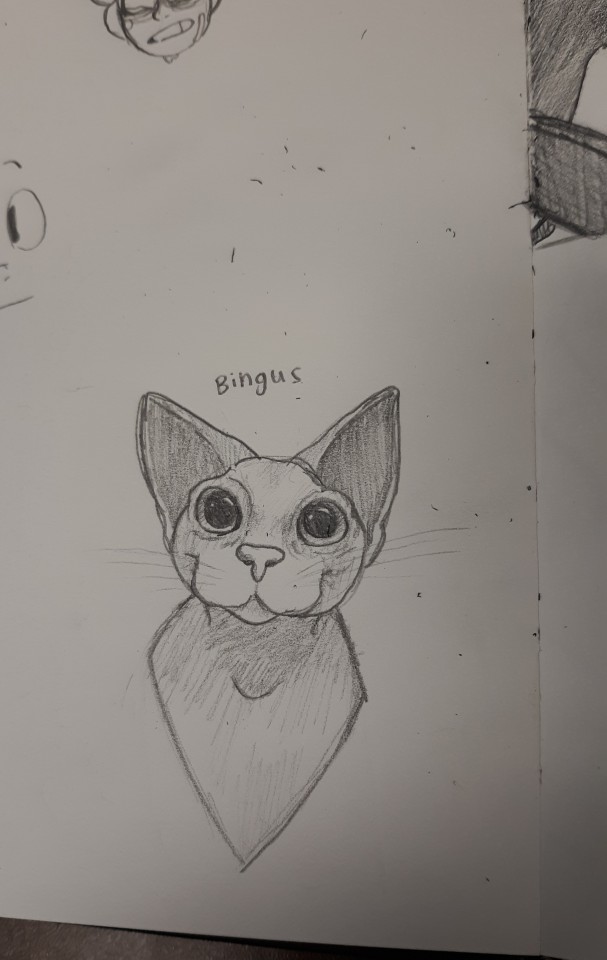 just-frog-thoughts:cadaverkeys:dumthicc:lnfini:He’s got a present for u !!