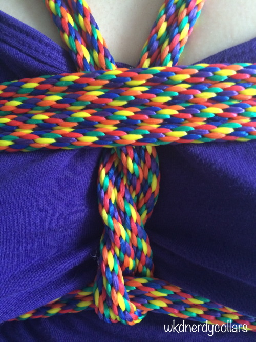 wkdnerdycollars:  leatherlacedbass:  agreeableagony:  wkdnerdycollars:  Rainbow rope from Agreeable Agony 