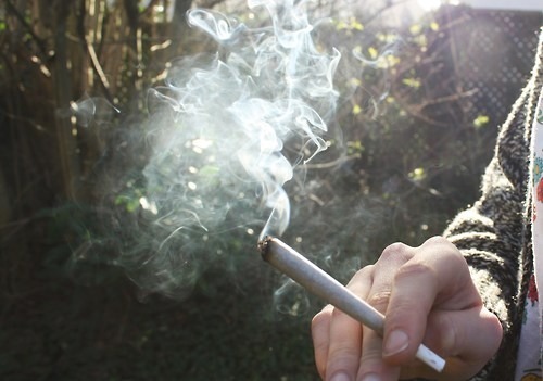 tumblr photo alacanno 0