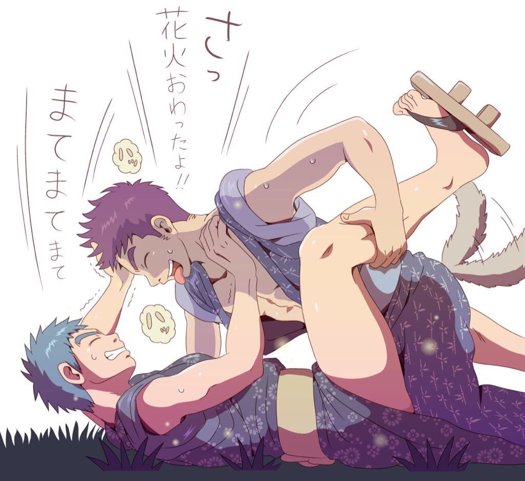 Bara-IVS