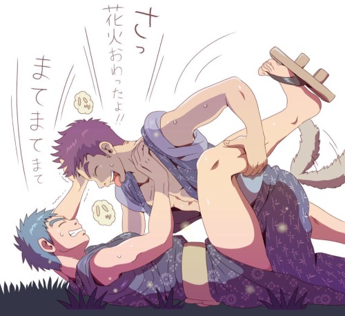 Bara-IVS