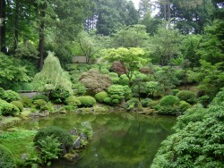 lionfloss:  Portland Japanese Garden 