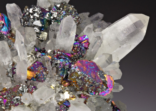 conflictingheart:
“ 1. Chalcopyrite
2. Azurite
3. Chalcopyrite with Quartz
4. Spessartine on Smoky Quartz
5. Fluorite stalactite
6. Dioptase
7. Amethyst
8. Rainbow Aura Quartz
9. Dioptase
10.. Burmese Tourmaline 8.15 ct
”