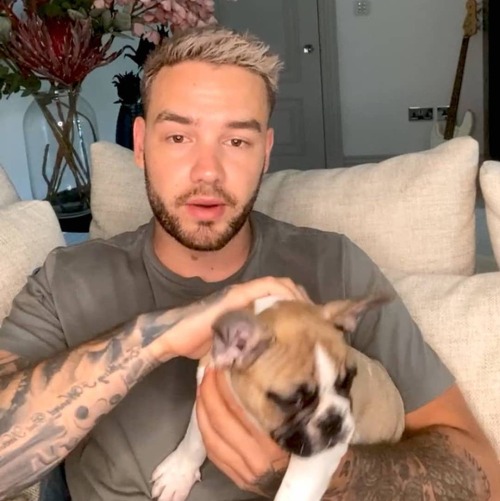 justapayneaway:Liam and Scooby: The most iconic puppies ever 