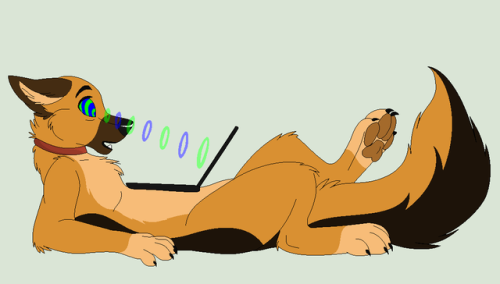 hypnodoctor: hypnocanine: The canine settled down getting out his laptop ready to relax with some la