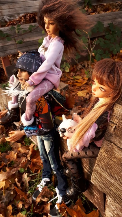 Siblings Nasreen and Nadir, and Limor. #souldoll #msd #minifee...